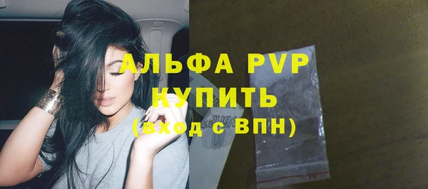 индика Арсеньев