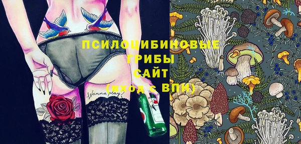 ГАЛЛЮЦИНОГЕННЫЕ ГРИБЫ Аркадак