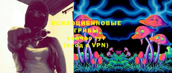 гашик Баксан